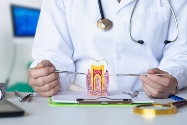 Best Emergency Dental Services for Seniors in Brittany Farms The Highlands, PA